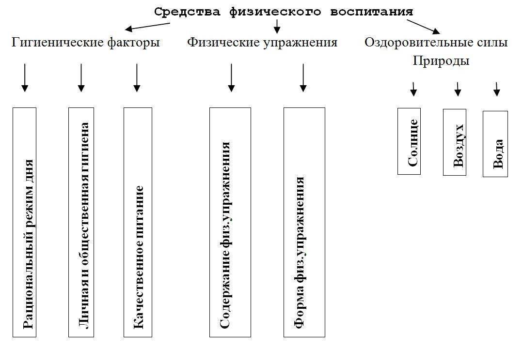Специфические принципы физического воспитания - классификация методов физического воспитания