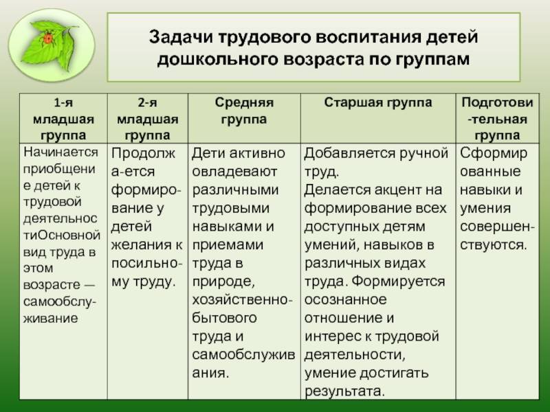 Трудовое воспитание детей дошкольного возраста