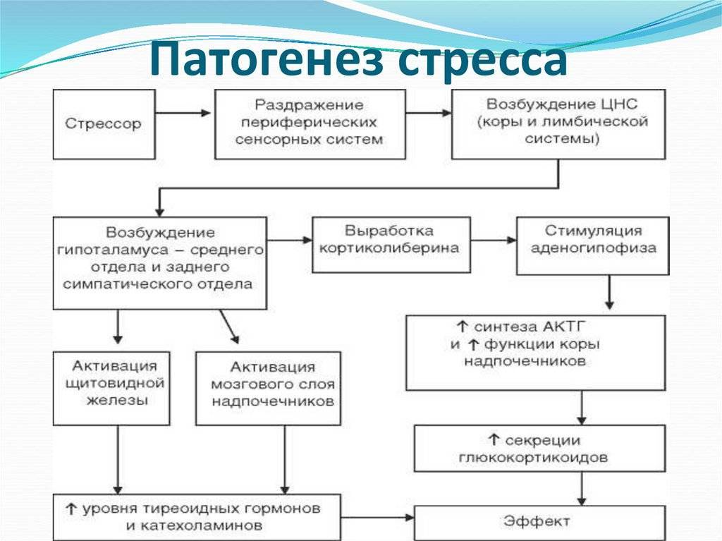 Невротические расстройства: причины, симптомы, диагностика и лечение — medalvian