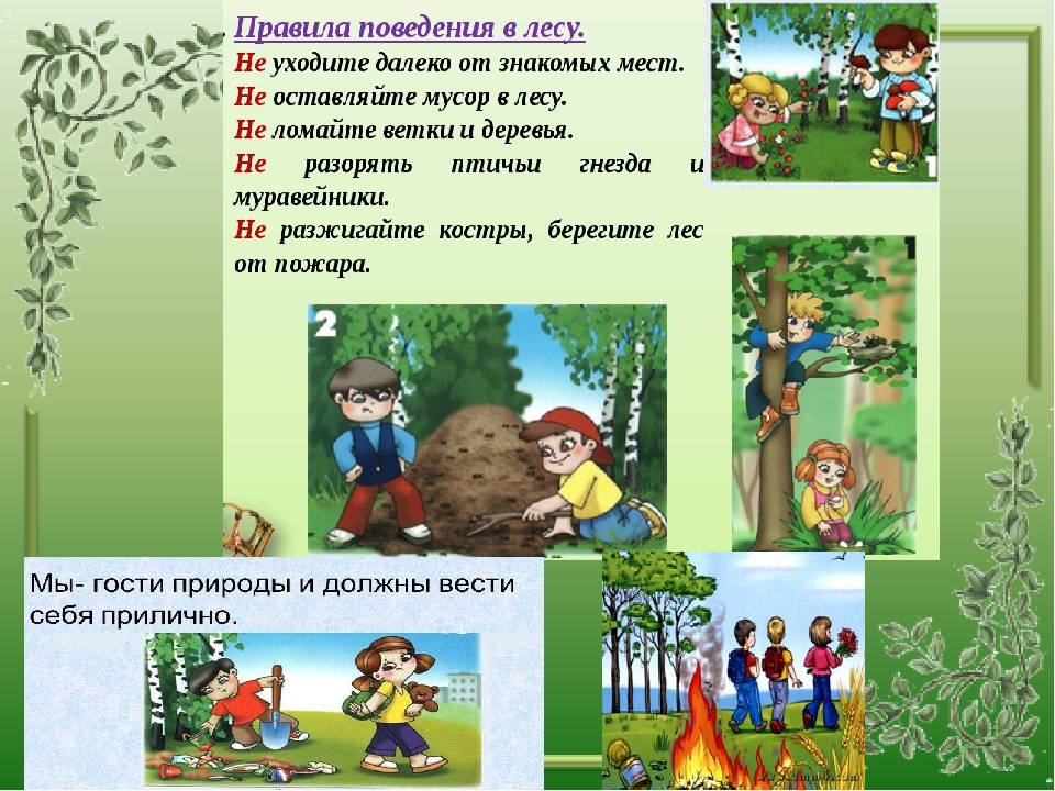 Правила безопасности на природе – без палатки.ру