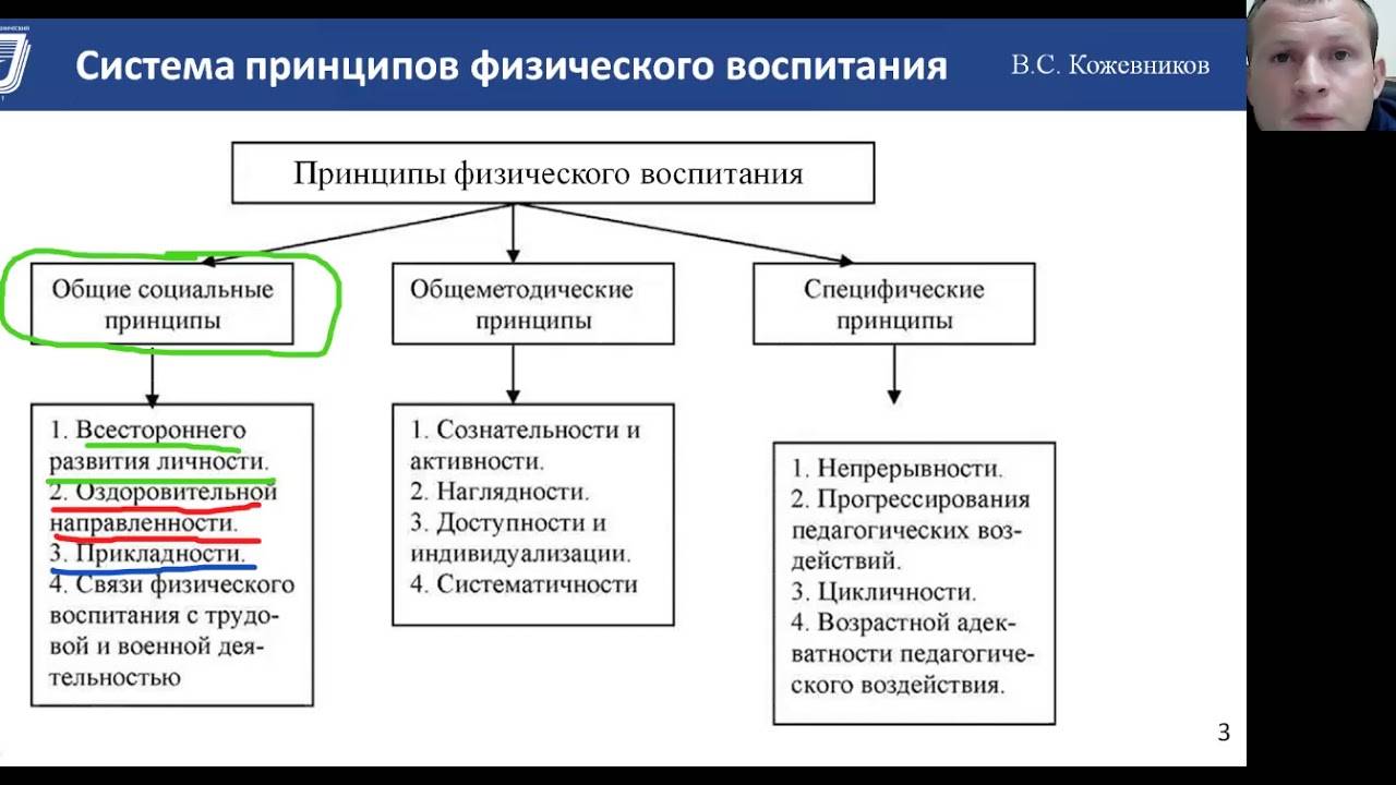 Методические принципы физического воспитания кратко