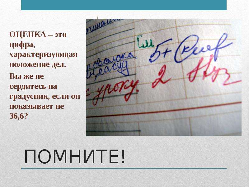 Оценки смешные картинки