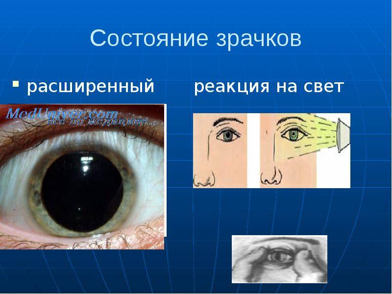 У всех на слуху: 30 известных каждому фраз, о происхождении которых знают лишь единицы