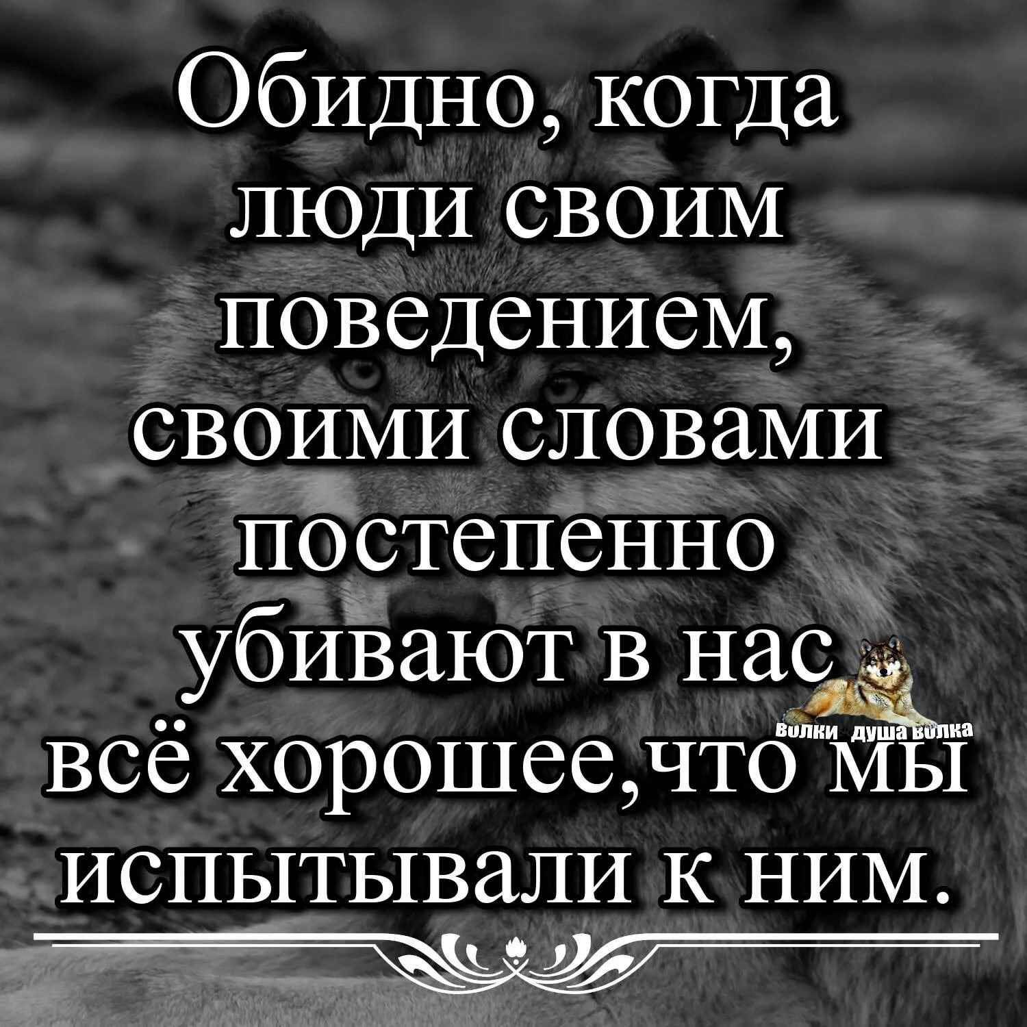 Проницательные слова. Обидно статус. Цитаты если тебе больно. Обидно до слез статусы. Обида картинки со смыслом.