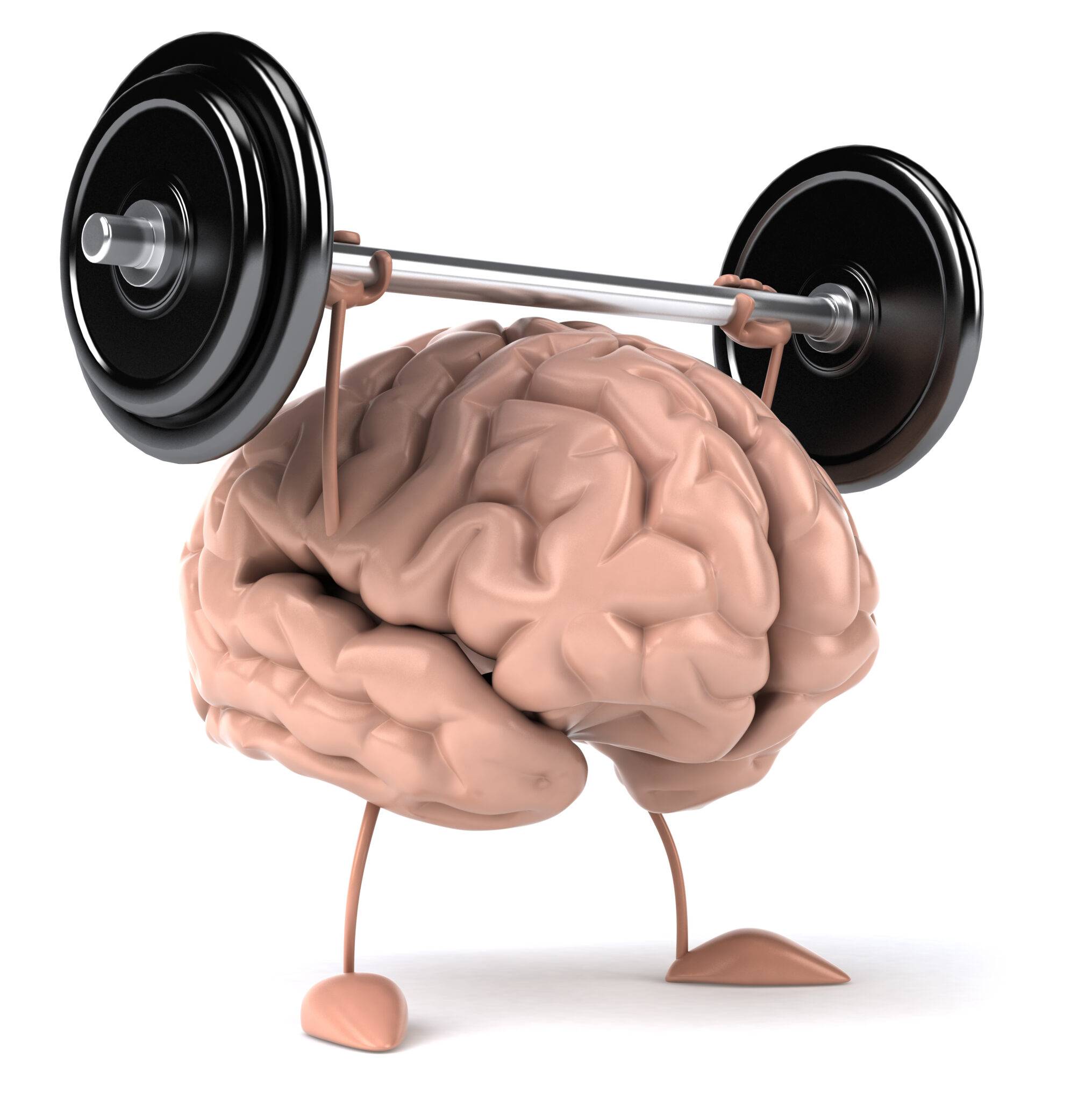 6 способов улучшить работу мозга при помощи физических упражнений — cmt научный подход