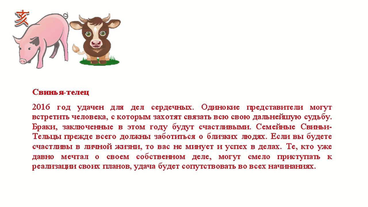 Козерог-свинья (кабан) характеристика знака