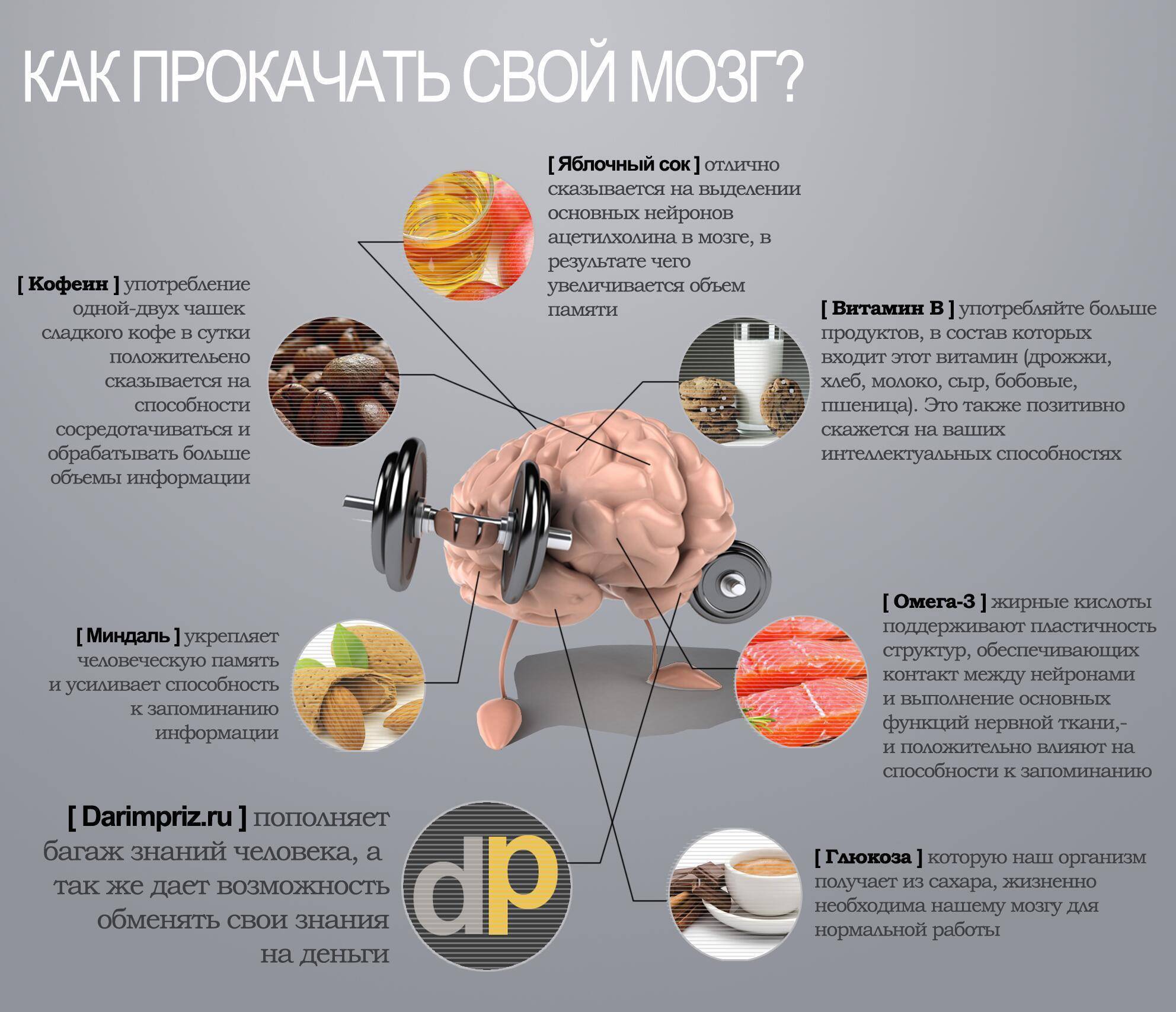 Продукты полезные для головного мозга и нервной системы | журнал "частности"
