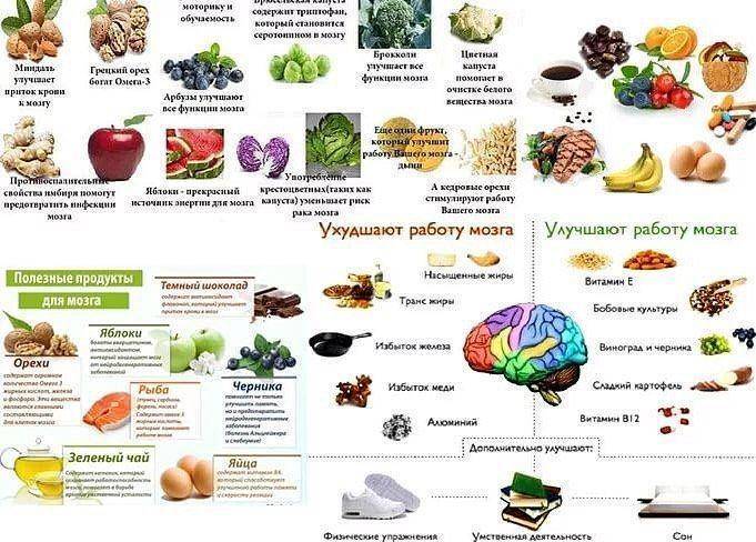 Какие продукты питания благоприятно воздействуют на мозг человека – мнение невролога