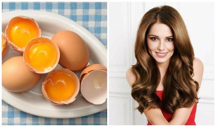 Маски для волос с желтком яиц: чем они полезны, как их применять, рецепты от выпадения, для роста и укрепляющие с маслом, лимоном и многие другие