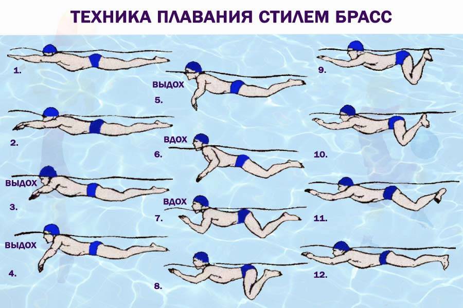 Как научиться плавать взрослому человеку самостоятельно