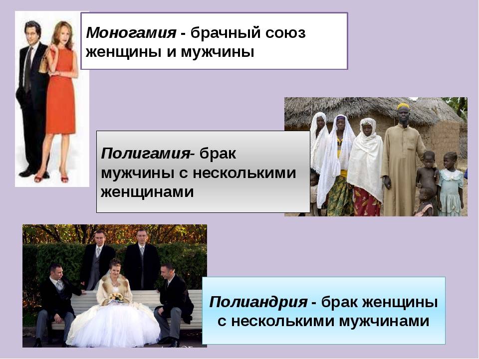 Какой термин используется для мужчины, который имеет много женщин