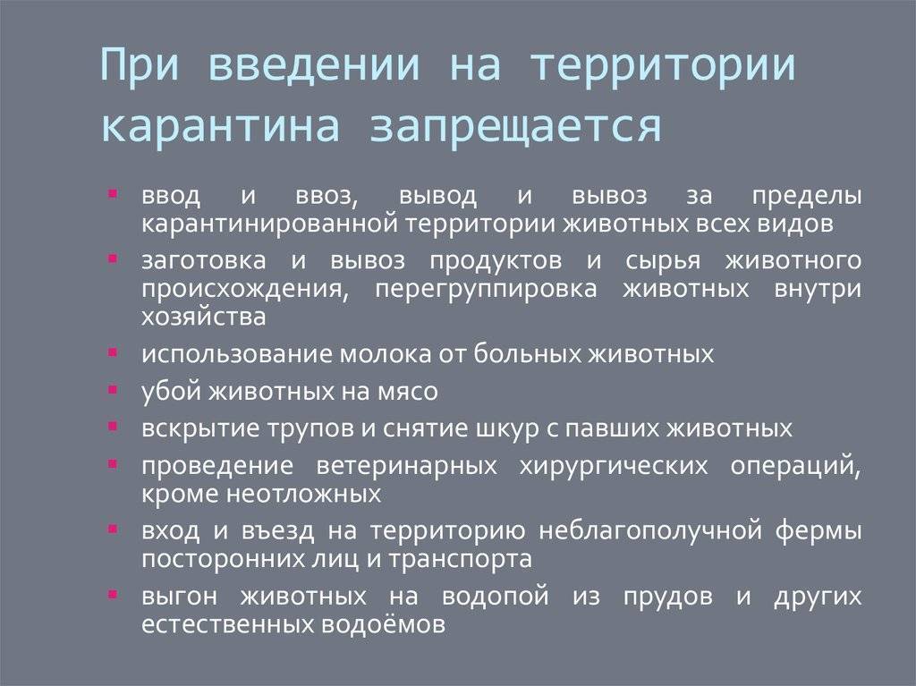 Правила поведения во время эпидемии