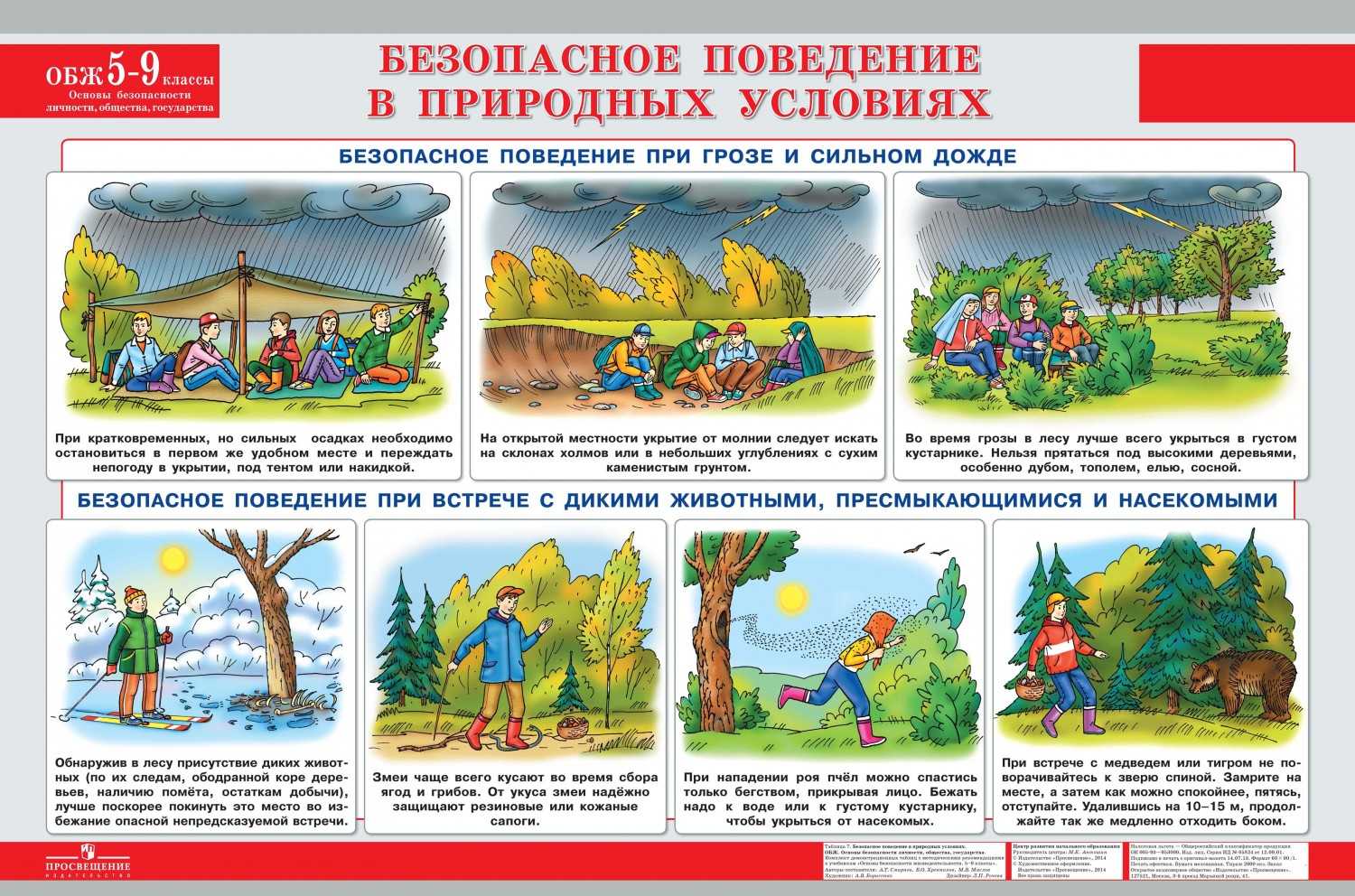 Консультация для родителей "правила безопасности на природе"