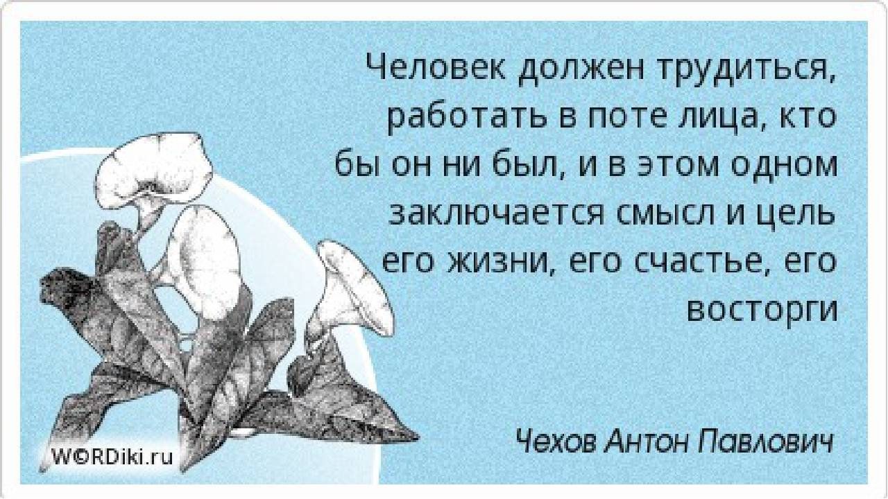 8 способов навсегда избавиться от привычки сравнивать себя с другими | brodude.ru