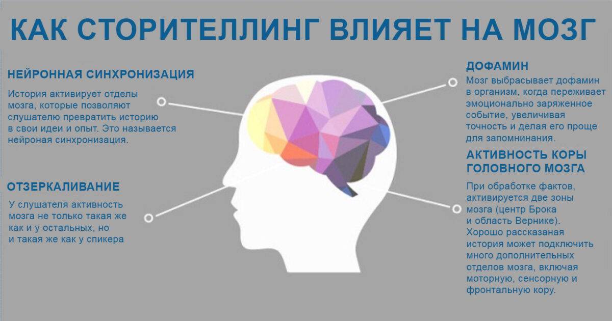 Зачем нужен сон? физиология: структура и функции сна | buzunov.ru