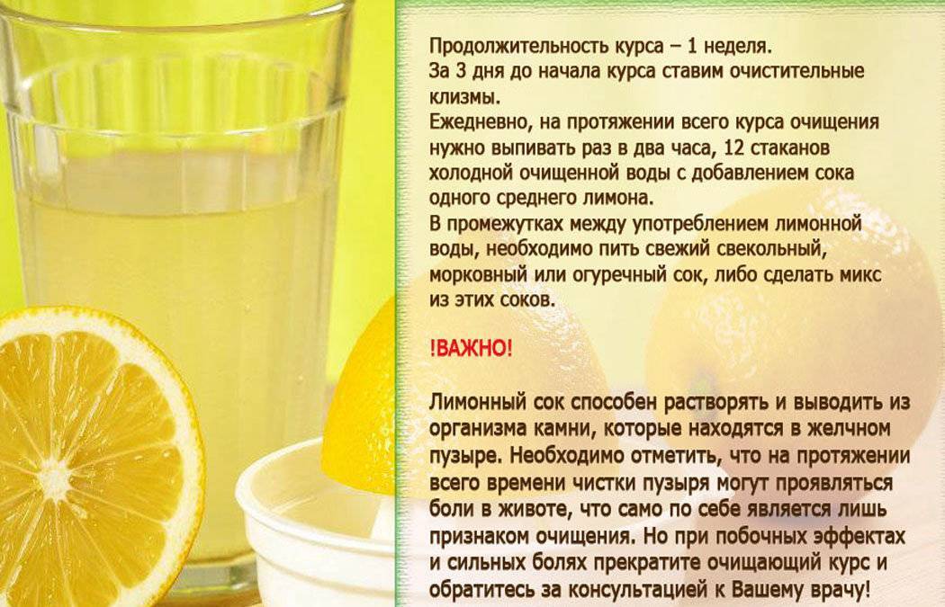 Как вырастить лимон из косточки - пошаговая инструкция, советы и нюансы