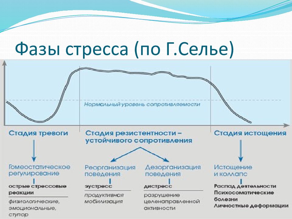 Теория стресса селье - преимущества и критика