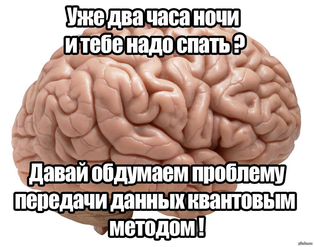 Я или мой мозг: кто на самом деле принимает решения? — t&p