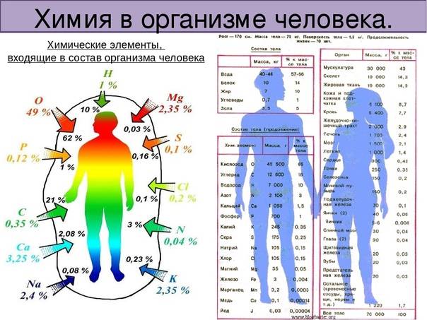 Химия в жизни каждого человека: роль науки для организма, вред и положительное значение | tvercult.ru