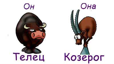 Женщина-телец и мужчина-козерог: совместимость в любви и браке