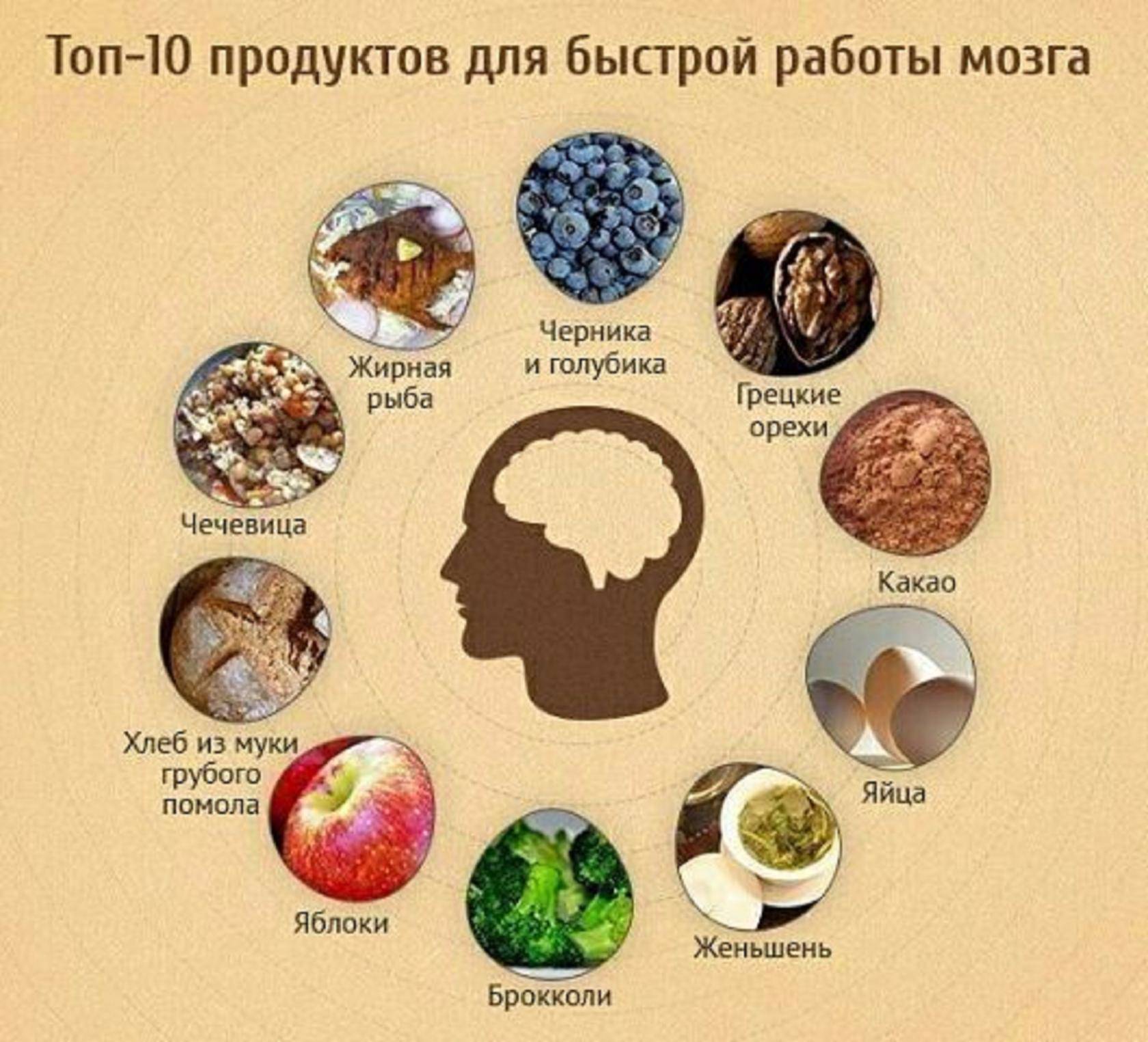 Полезные продукты для работы мозга | блог 4brain