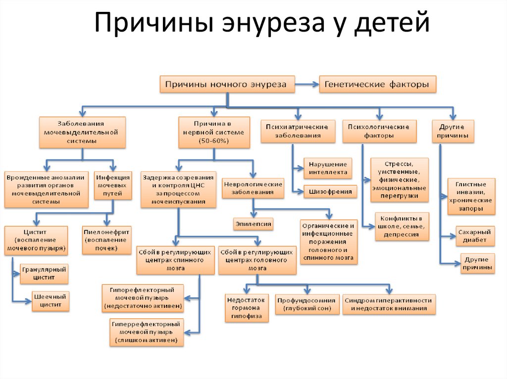 Ночное недержание мочи у детей - причины, лечение, профилактика ночного энуреза