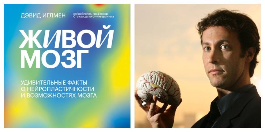 Жизнь мозга читать. Живой мозг Дэвид Иглмен. Дэвид Иглмен мозг ваша личная история. Книга мозг Дэвид Иглмен. Дэвид Иглмен 2021.
