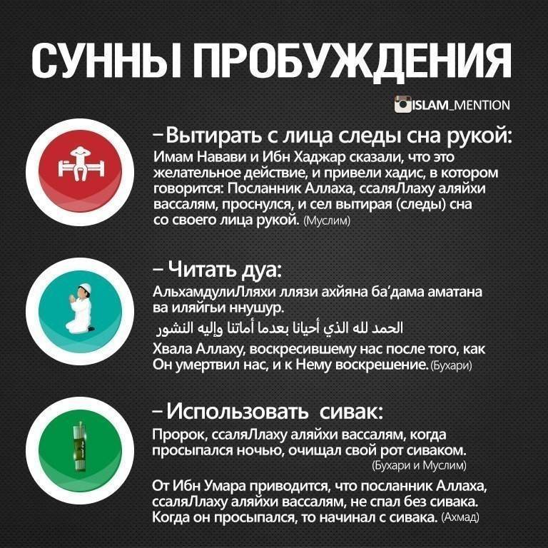 Глава  3. справление нужды и ее этикет.