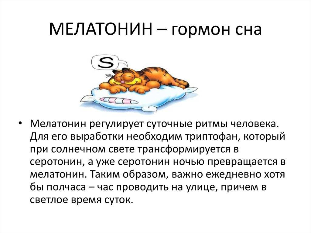 Как нужно питаться, чтобы иметь хороший сон? «сонная диета» | buzunov.ru