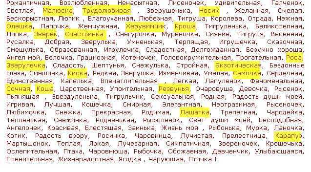 Как ласково и нестандартно называть девушку: 100 вариантов