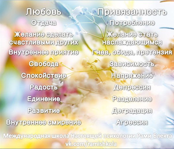 Любовь и привязанность: отличительные черты и критерии оценки отношений