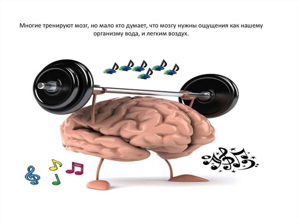 8 фактов о мозге, которые помогут понять своё подсознание | brodude.ru