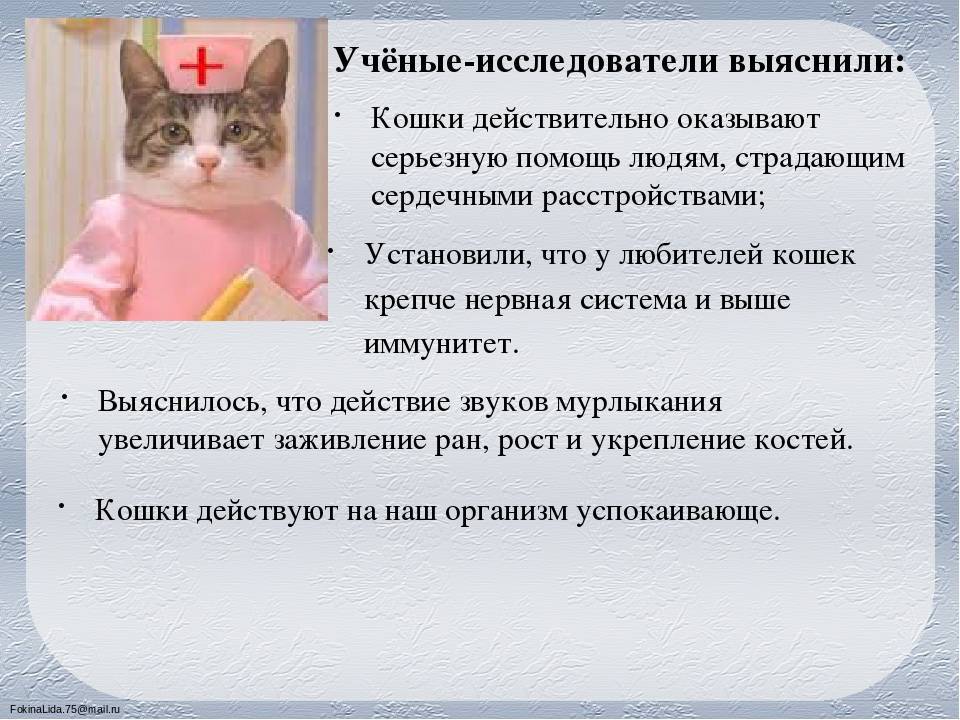 Фелиноз (болезнь кошачьей царапины) - лечение и симптомы