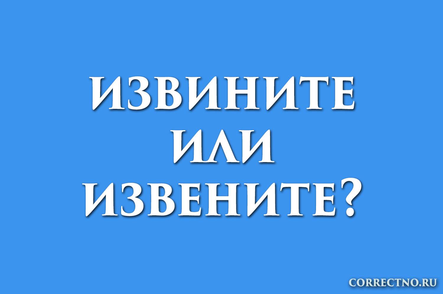 Извините - как пишется правильно