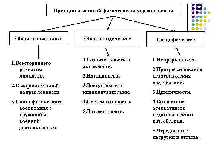 Принципы физического воспитания: общие, методические, специфические