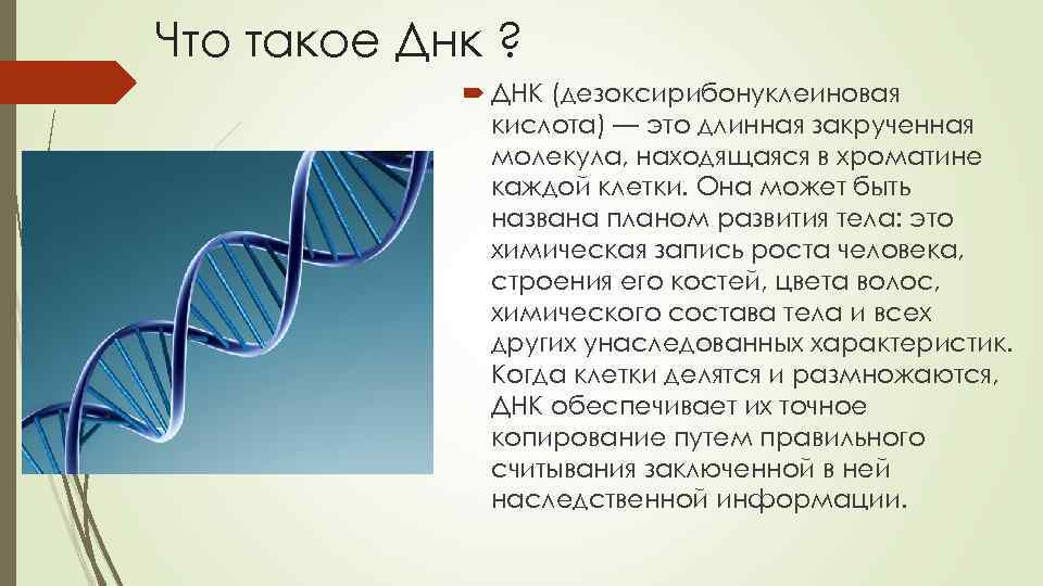 Исследование днк человека надежды и опасения презентация