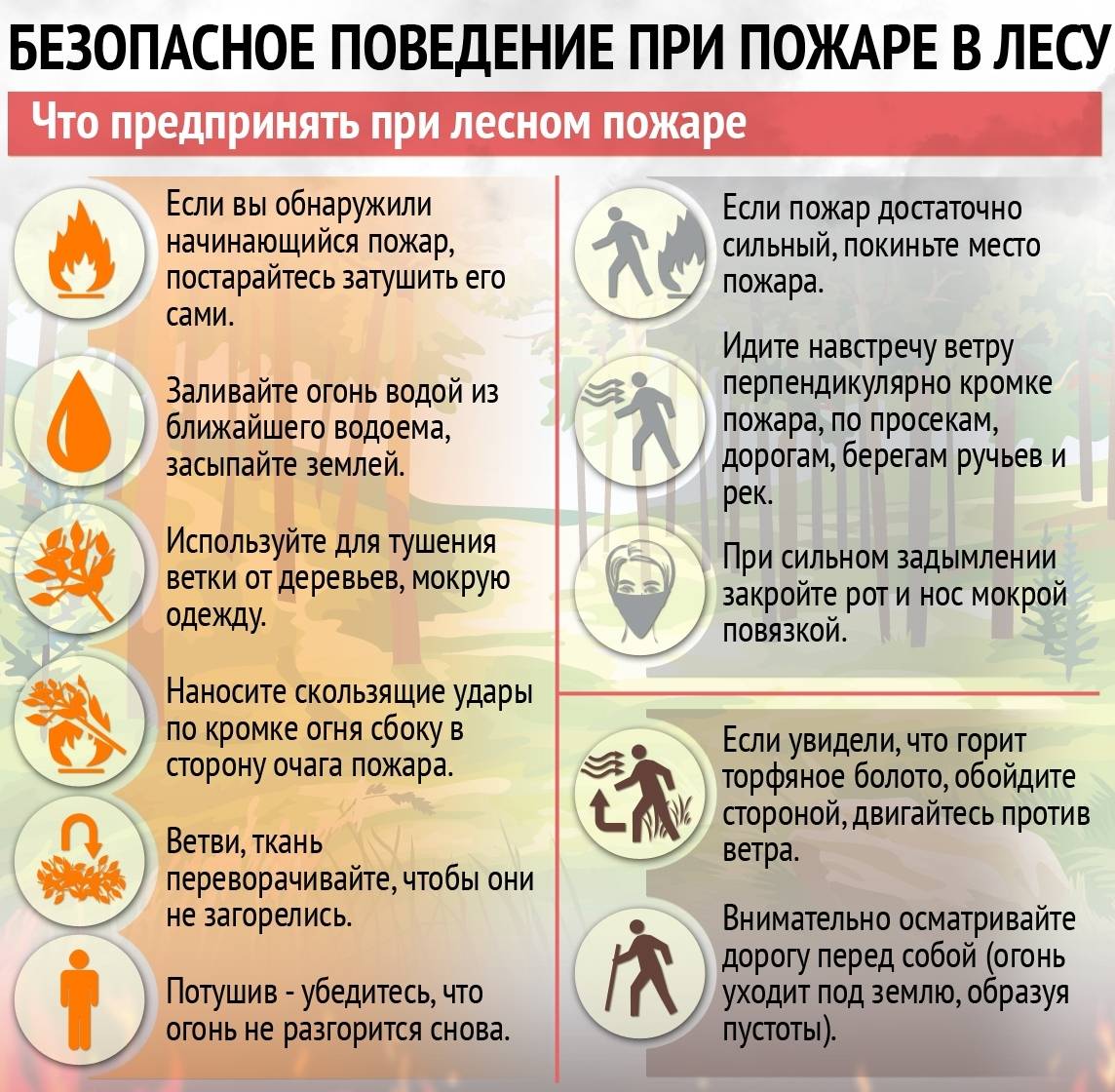 Как спастись в лесу от пожара: правила безопасности в лесу