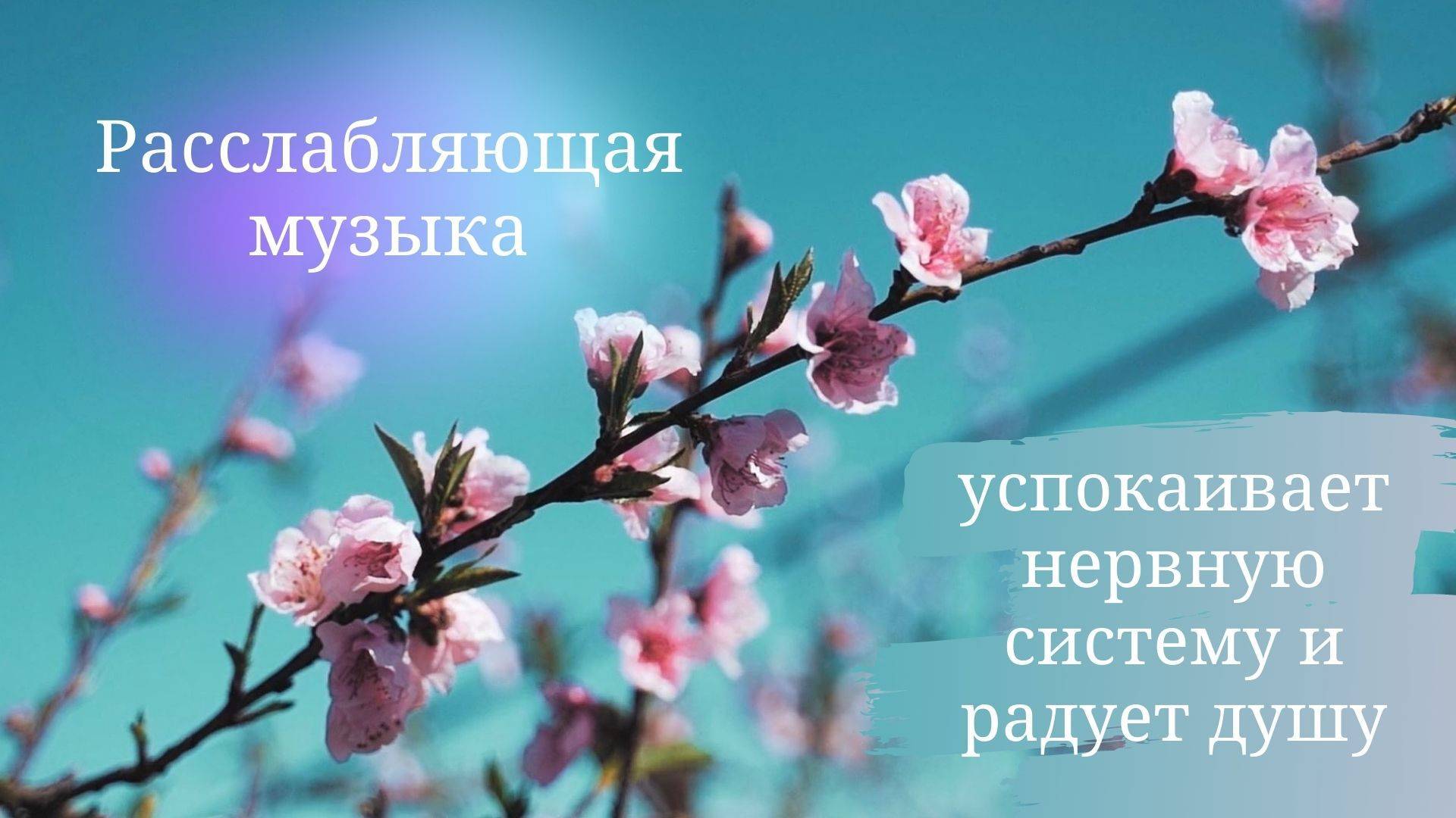 Релакс успокоить нервную систему. Спокойные мелодии для успокоения души. Успокаивающая музыка для нервной системы. Музыка для успокоения нервной системы. Релакс музыка для успокоения нервной системы слушать онлайн.