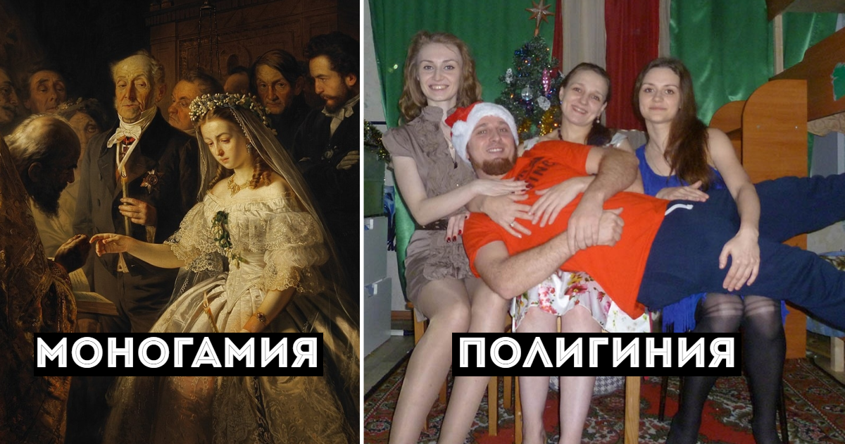 Моногамные отношения. что это? — мозаика жизни