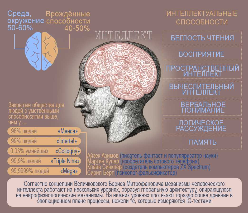 Высокий интеллект: признаки, способы развития, советы