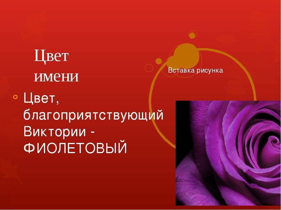 Фиолетовый цвет в психологии: что означает кто любит сиреневый из женщин, что значит оттенок в характере человека? | customs.news