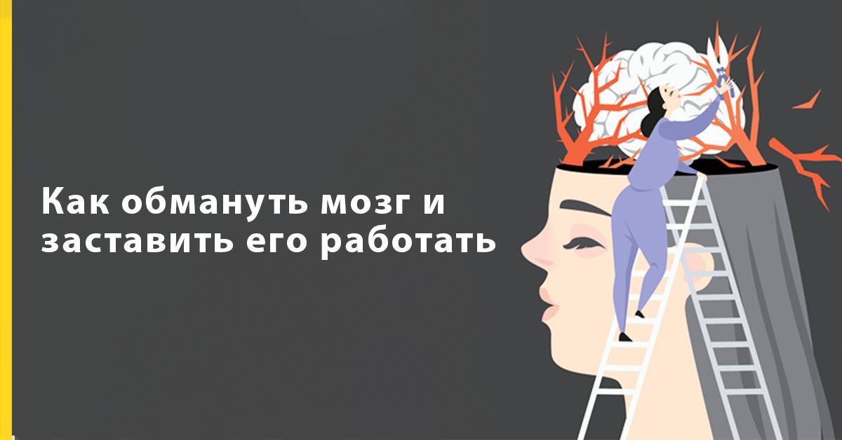 Полезные советы о том, как заставить свой мозг работать на 100 процентов | психология на psychology-s.ru