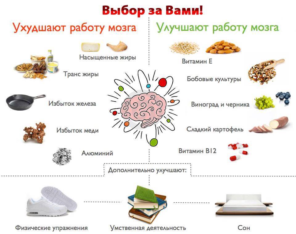 17 продуктов, полезных для улучшения памяти и работы мозга: полный список | kadrof.ru