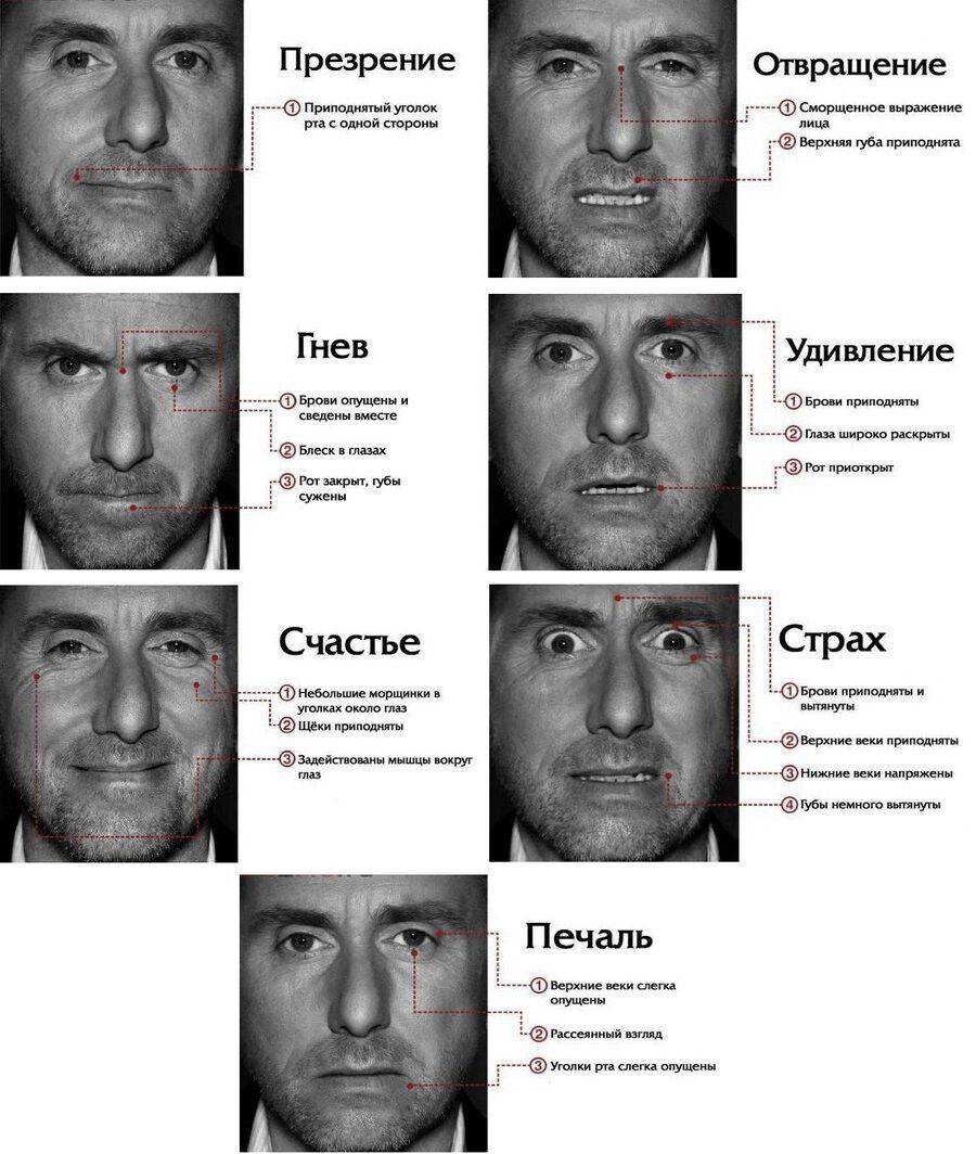 Язык тела и жестов - 75 признаков, таблица | невербальное общение, кратко