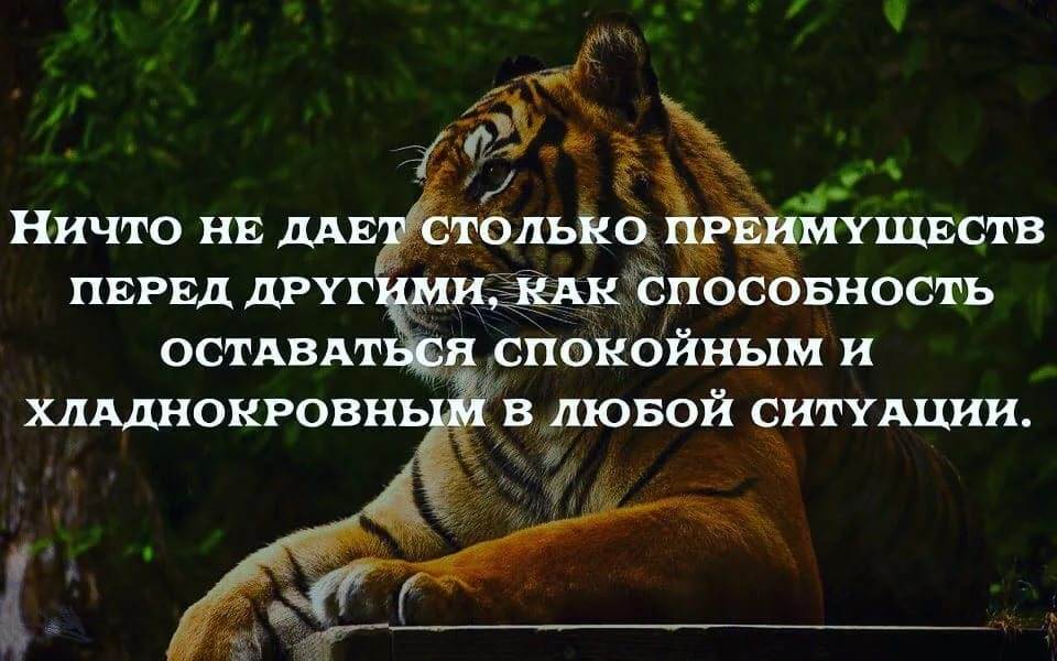 10 советов о том, как сохранять спокойствие в любой ситуации | кто?что?где?