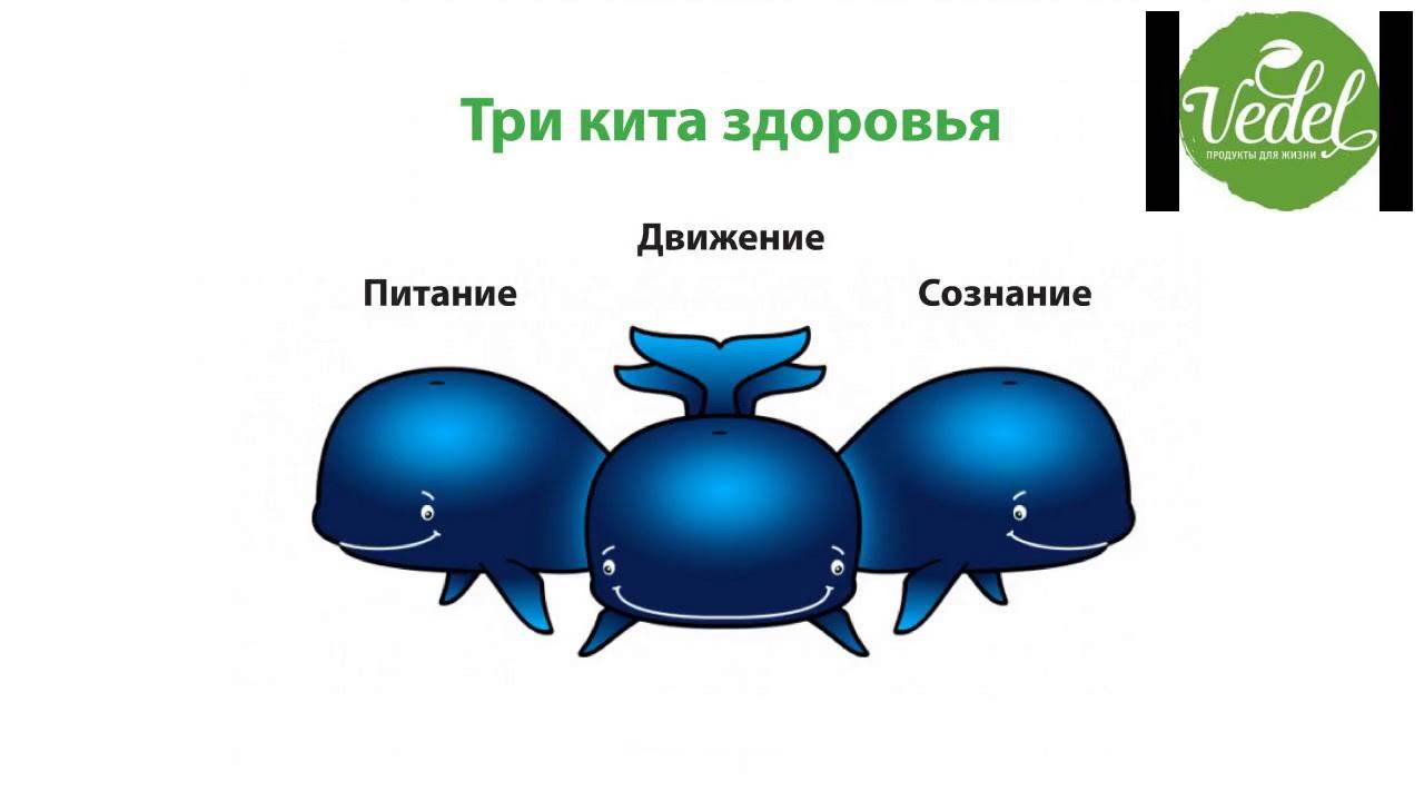 Три кита, на которых строится «счастливая жизнь»