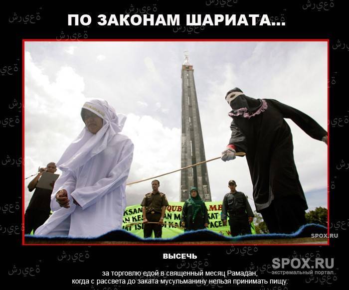§ 3. права и обязанности супругов