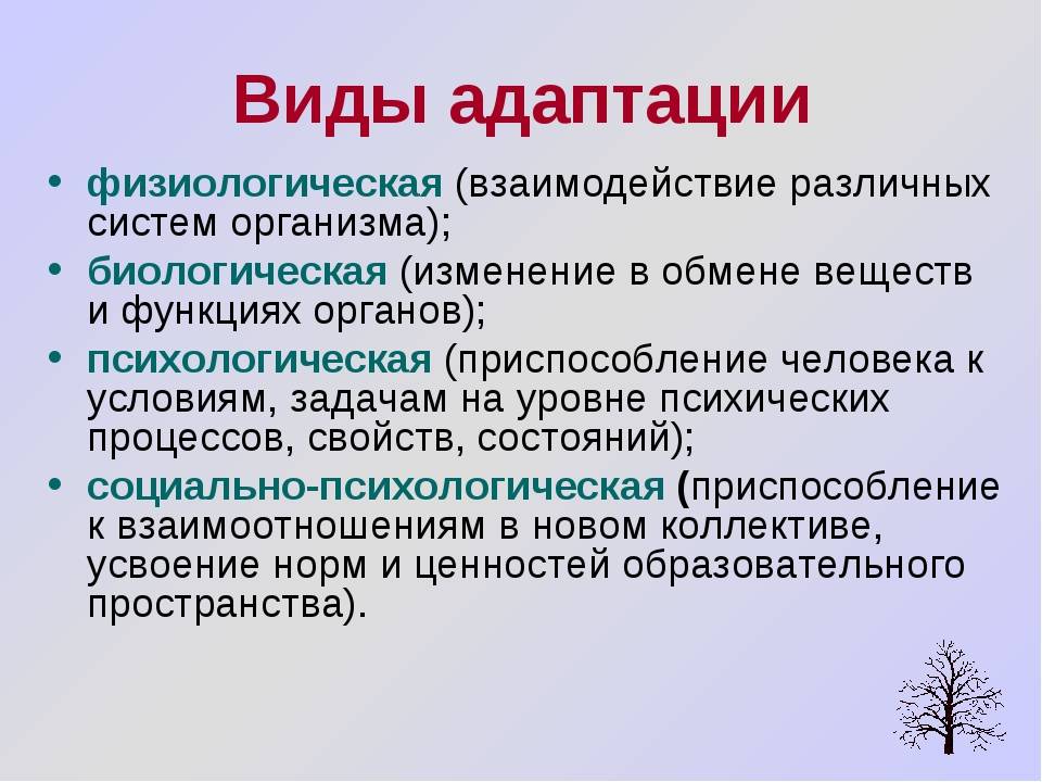 Фф адаптация. Типы адаптации.