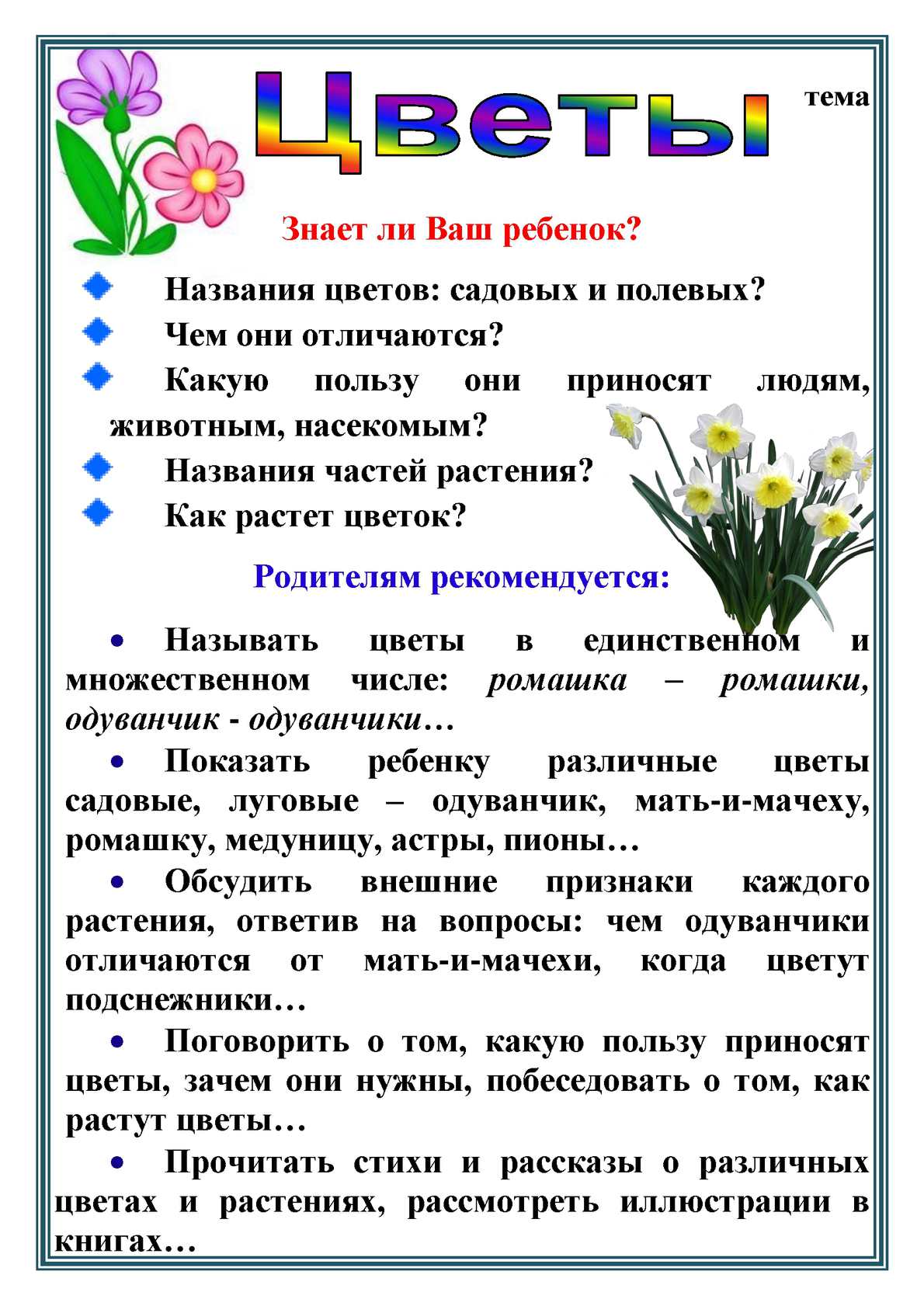Vdvanr.ru