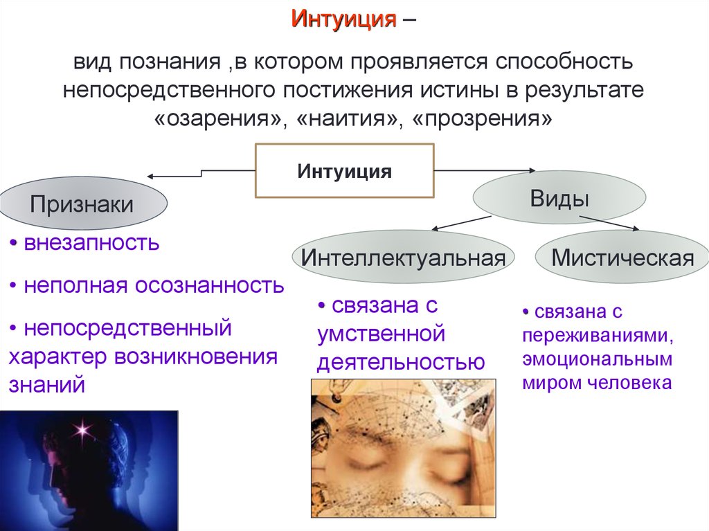 Эволюция интеллекта: интуиция / хабр